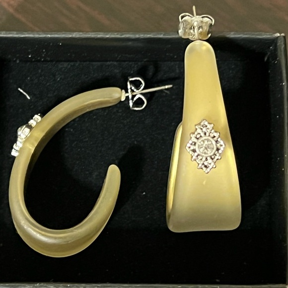 FROSTED EMBELLISHED HOOP EARRINGS - AVON - Picture 2 of 4